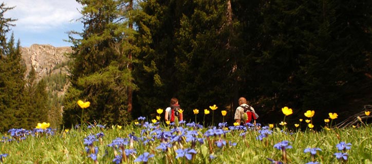 Wandern