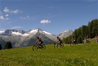 Mountainbike Alm