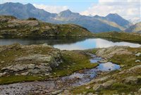 Sommer im Ahrntal